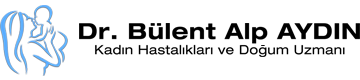 Bülent Alp AYDIN